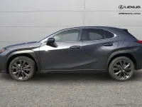 Used Lexus UX 300h Sport Design Packet 195 HP (143 kW) 2026 Grey SUV