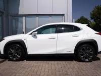 Used Lexus UX 250h Sport Line 180 HP (132 kW) 2021 White SUV
