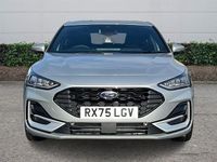 New Ford Focus ST-Line 155 HP (114 kW) 2025 Hatchback