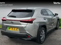 Used Lexus UX 150 kW (204 HP) 2025 Sonic titanium  (1j7)  special metallic SUV
