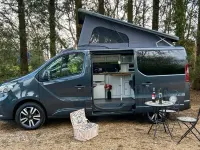 Used Renault Trafic 150 HP (110 kW) 2022 Grey MPV