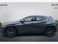Used Lexus UX 300h 199 HP (146 kW) 2026 SUV