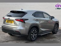Used Lexus NX300h Sport Line 194 HP (142 kW) 2016 Silver SUV