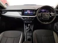 Used Skoda Kamiq SE 116 HP (85 kW) 2024 Blue SUV