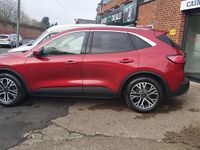 Used Ford Kuga Titanium 120 HP (88 kW) 2021 Red SUV