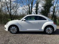 used VW Beetle 1.2 TSI Design 3dr DSG