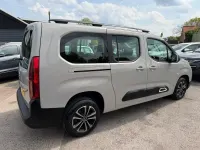 Usado Citroën Berlingo Flair 2019 Bege Monovolume