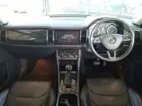 Used Skoda Kodiaq 150 HP (110 kW) 2019 Blue SUV