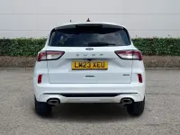 Used Ford Kuga ST-Line 190 HP (139 kW) 2023 White SUV