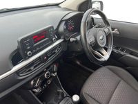 Used Kia Picanto 83 HP (61 kW) 2020 White Hatchback