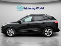 Used Ford Kuga ST-Line 148 HP (108 kW) 2023 SUV
