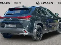 Used Lexus UX 250h 184 HP (135 kW) 2024 SUV