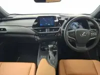 Used Lexus UX 250h Sport Design Packet 184 HP (135 kW) 2023 White SUV