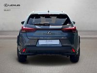 Used Lexus UX 250h 2023 Grey SUV