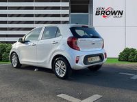 Used Kia Picanto 2024 White Hatchback