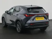 Used Lexus NX450h+ 2023 Grey SUV