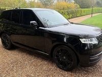 Used Land Rover Range Rover SE 300 HP (220 kW) 2025 SUV