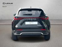Used Lexus NX450h+ Sport Line 2023 Black SUV