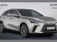 Used Lexus RX350h 247 HP (181 kW) 2024 Silver SUV