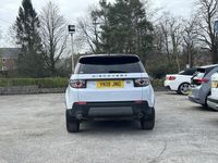 Used Land Rover Discovery Sport Landmark 180 HP (132 kW) 2019 White SUV