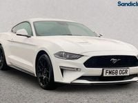 Used Ford Mustang Fastback 310 HP (228 kW) 2019 White Coupe