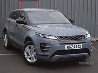 Used Land Rover Range Rover evoque R-Dynamic 204 HP (150 kW) 2022 Grey Estate