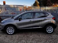 Usado Renault Captur Dynamique 2015 Bege SUV
