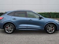 Used Ford Kuga ST-Line 150 HP (110 kW) 2023 Blue SUV