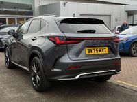 New Lexus NX450h+ Sport Line 2026 SUV