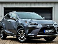 Used Lexus NX300h 197 HP (144 kW) 2019 Grey SUV