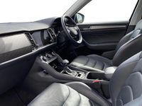 Used Skoda Kodiaq SE L Executive 150 HP (110 kW) 2023 Petrol blue metallic SUV