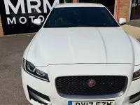 Used Jaguar XF R-Sport 179 HP (131 kW) 2017 White Sedan