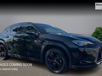 Used Lexus UX 250h 184 HP (135 kW) 2024 SUV