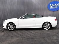 Used Audi A5 Cabriolet 272 HP (200 kW) 2016 White Cabriolet