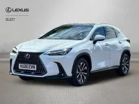 Used Lexus NX450h+ 2026 White SUV