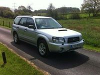 Used Subaru Forester 2004 SUV