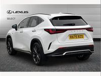 New Lexus NX450h+ Sport Line 288 HP (211 kW) 2026 White SUV