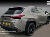 Used Lexus UX 250h 184 HP (135 kW) 2024 SUV