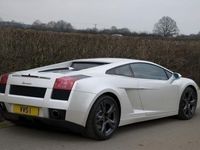 Used Lamborghini Gallardo 520 HP (382 kW) 2006 Coupe