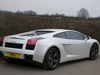 used Lamborghini Gallardo 5.0