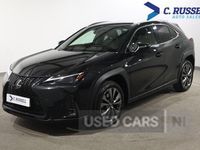 Used Lexus UX Sport Design Packet 184 HP (135 kW) 2023 SUV