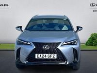 Used Lexus UX 250h Sport Line 184 HP (135 kW) 2022 SUV
