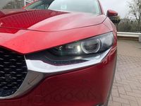 Used Mazda CX-30 Takumi-Line 140 HP (102 kW) 2025 Red SUV