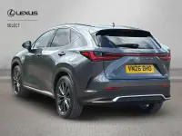 Used Lexus NX350h Sport Line 197 HP (144 kW) 2026 Grey Estate
