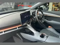 Used Cupra Tavascan VZ2 250 kW (340 HP) 2025 Bronze SUV