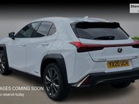 Used Lexus UX 250h Sport Line 184 HP (135 kW) 2022 SUV