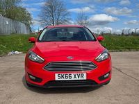 Used Ford Focus Zetec 2016 Red Hatchback