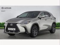 Used Lexus NX350h 245 HP (180 kW) 2022 Silver SUV