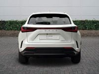 Used Lexus NX450h+ 2025 White SUV