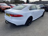 Used Jaguar XF R-Sport 200 HP (147 kW) 2018 White Sedan